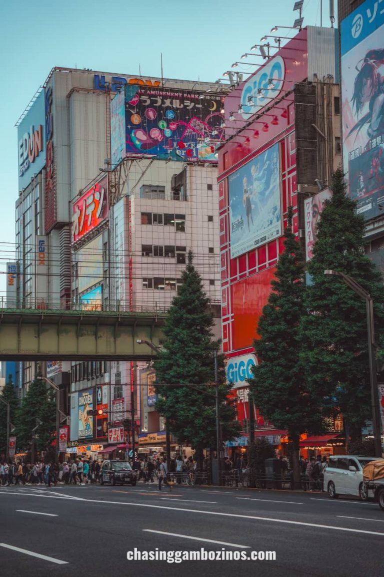 Must visit Akihabara street.