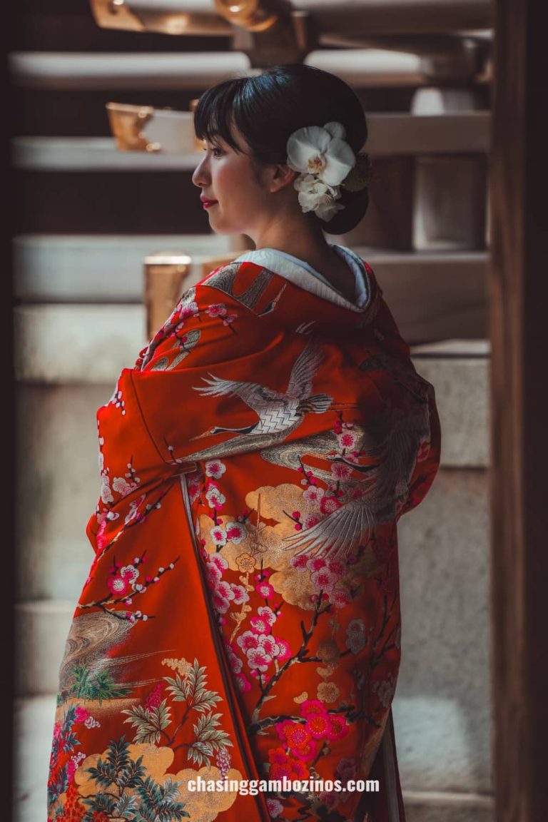 Traditional japanese bride at the best time to visit Meiji Shrine.
