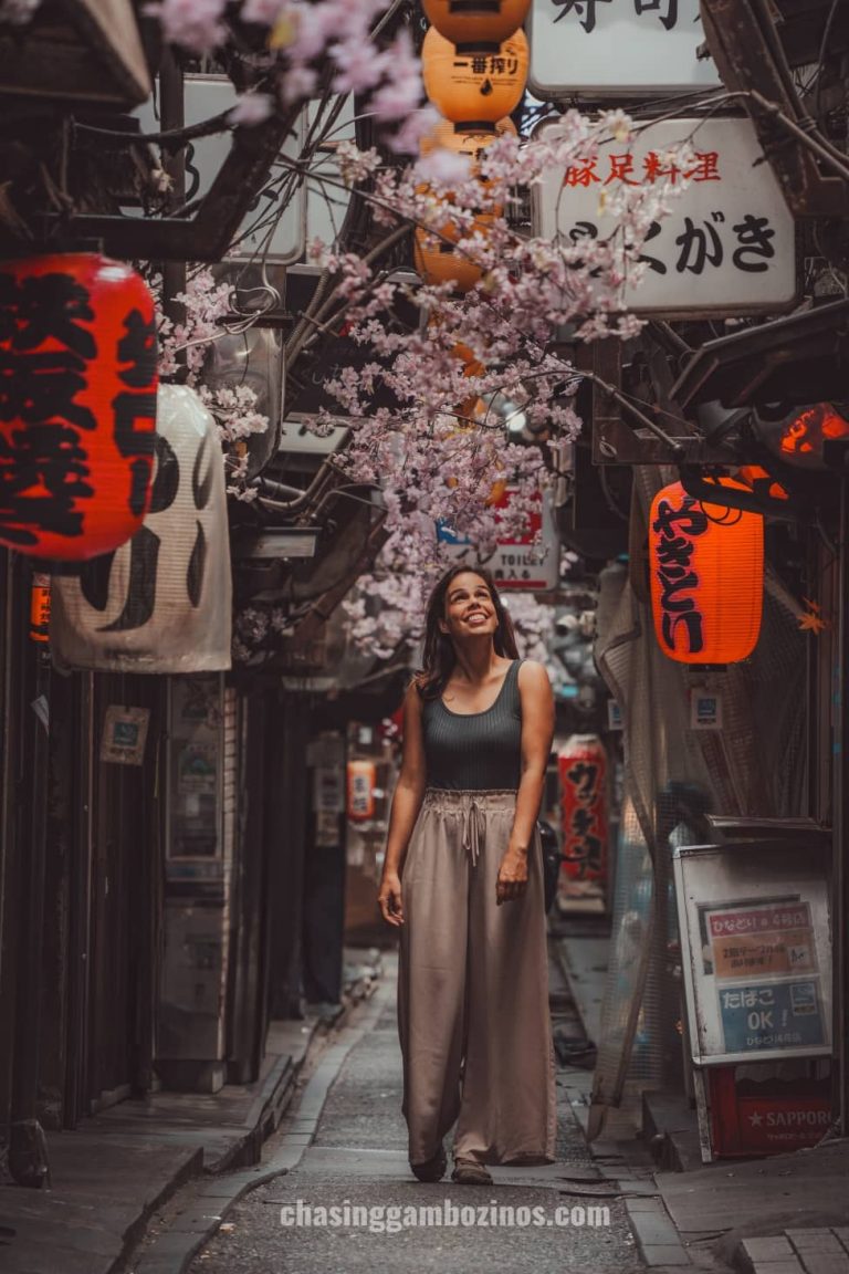 Woman visiting shinjuku omoide yokocho.