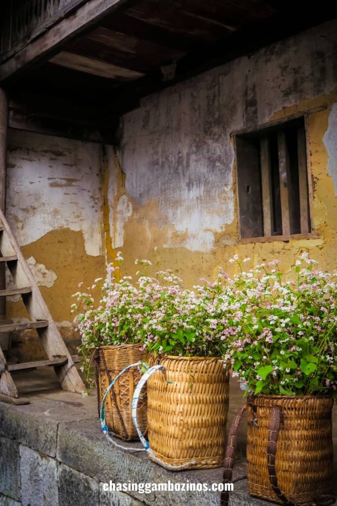 Entrance of a Ha Giang loop accommodation, adorned by baskets of flowers.