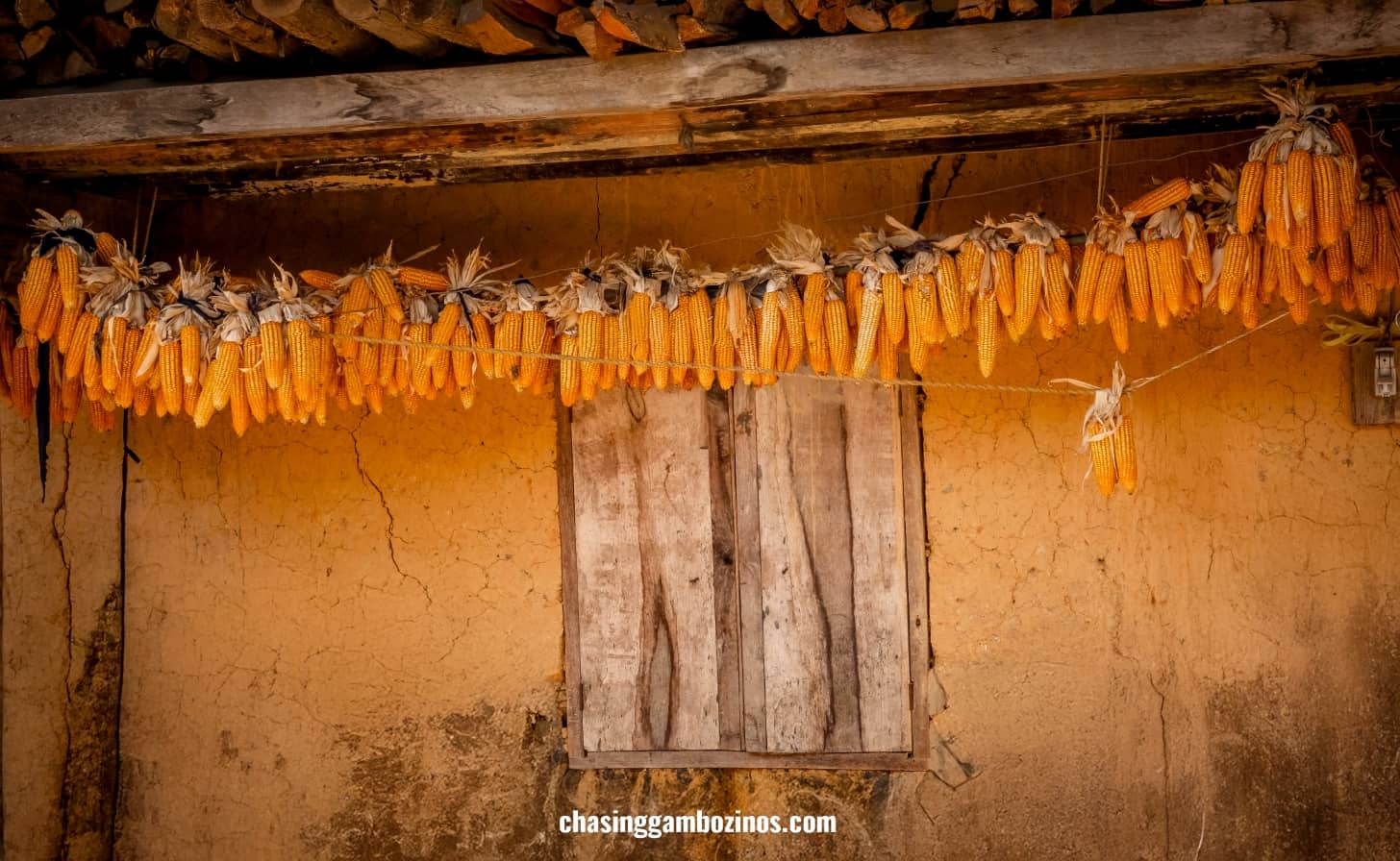 Yellow house with corn drying on a string.