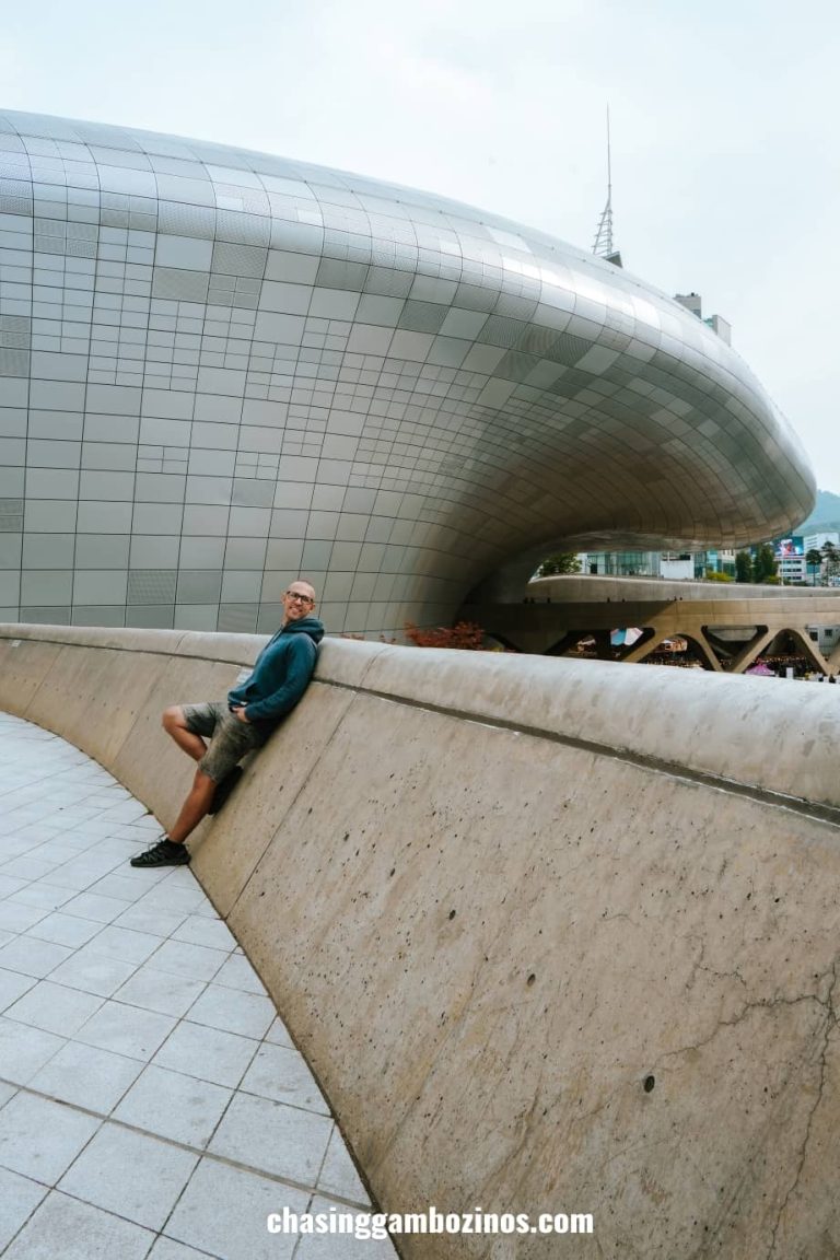 man visiting must see Dongdaemun Design Plaza.