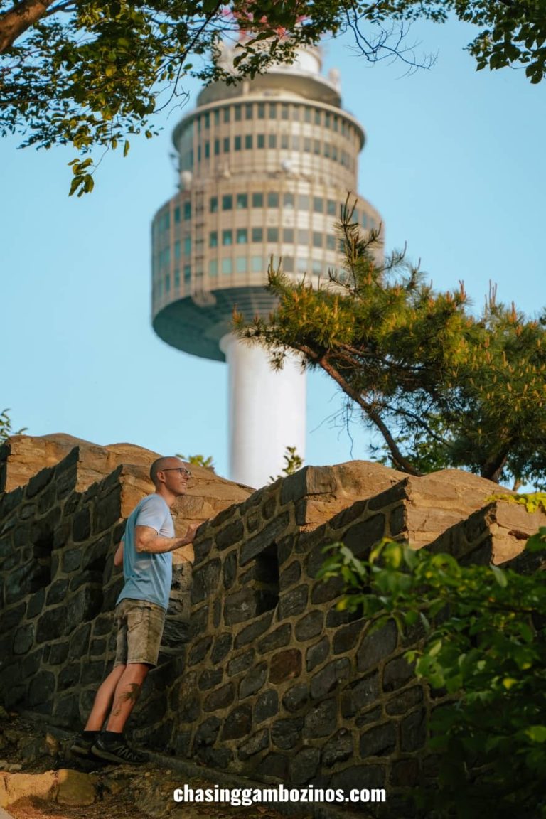 man looking at best Seoul Viewpoint Namsan Seoul Tower.