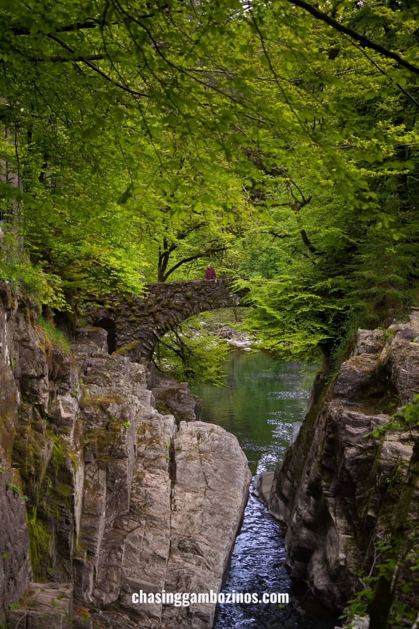 A man standing on a bridge at the Hermitage, during a 5 day Scotland tour.
